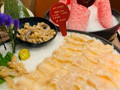 -協成海鮮火鍋(老店)