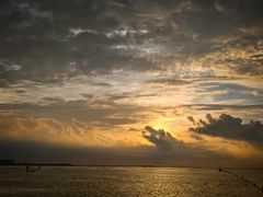 -红树林天天赶海