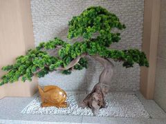 -皇朝海鲜酒店