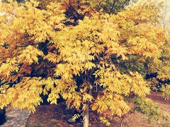 -白塘生态植物园