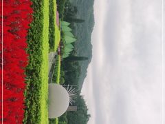 -东南花都花博园