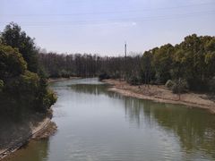 -上海海湾国家森林公园