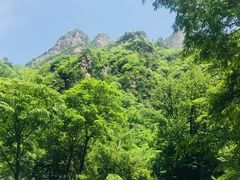 -青峰峡国家森林公园