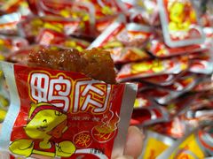 -郴州特产舜华临武鸭(郴州西站店)