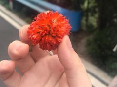 -河南宝泉旅游区