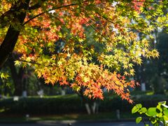 -天目湖御水温泉·度假酒店