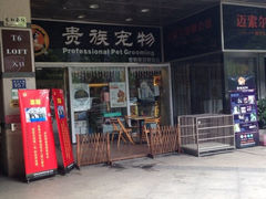 iphone_upload_pic-贵族宠物·宠物美容(三阳路店)
