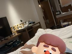 -锦州中央大街希尔顿花园酒店