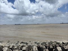 -上海滨江森林公园
