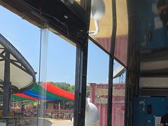 -移动谜城·大笨象密室逃脱(五棵松店)