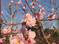 -春华海鲜城(广场西苑店)