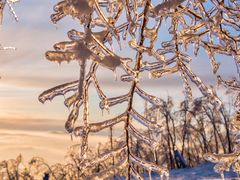 -中旅松花湖滑雪场