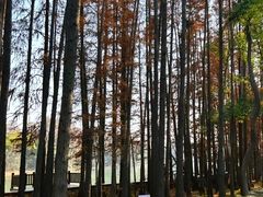 -东湖落雁景区