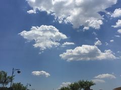 -南开大学滨海学院