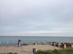 -养马岛旅游度假区