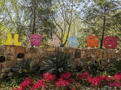 -合肥滨湖国家森林公园