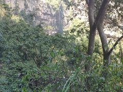 -马岭河峡谷风景区
