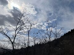 -府君山公园