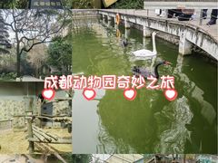 -成都动物园