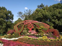 -上海共青森林公园