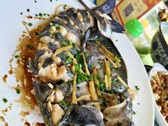 清蒸遇龙河剑骨鱼-生态苑农庄(十里画廊遇龙河店)