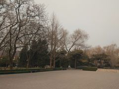 -玲珑塔公园