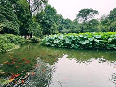 -成都杜甫草堂博物馆