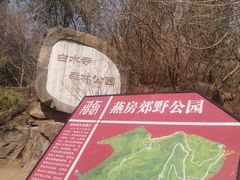 -白水寺森林公园