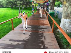 景点-北京野生动物园