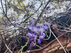 -时间仓(月湖公园店)