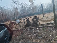 -秦皇岛野生动物园