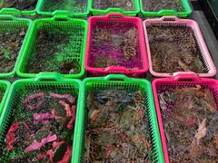 -众味海鲜大排档·活海鲜·潮汕味(南澳店)