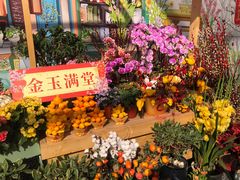 -海心沙亚运公园