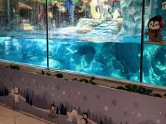 -帝企鹅自助餐厅•儿童岛•真企鹅(长隆企鹅酒店)