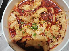 -肥家大排档(天河体育西店)