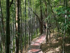 -南京市无想山景区