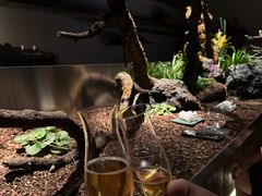 -曲廊院(东四十一条店)