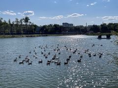 -长春市南湖公园