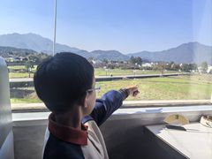 -黄牛肉馆·皖南土菜