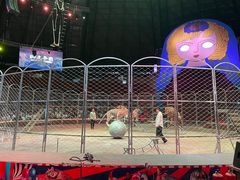 -俄罗斯国家大马戏团