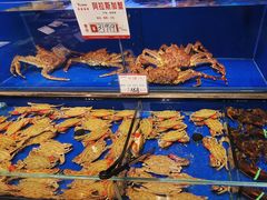 -奕景酒家· 专注大连海鲜30年(星海广场店)