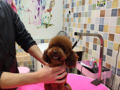 -唯美宠物生活馆(绿地国际生态城店)