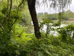 -溱湖国家湿地公园