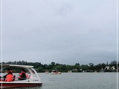 -上海长兴岛郊野公园