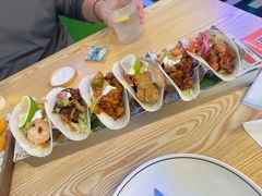 -Famous肥猫墨西哥音乐餐吧(五棵松华熙LIVE店)