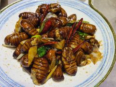 葱爆蚕蛹-小海丁