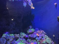 -成都浩海立方海洋公园