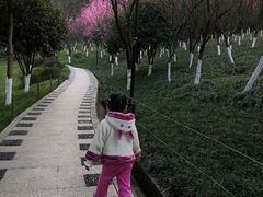 -龙头寺公园