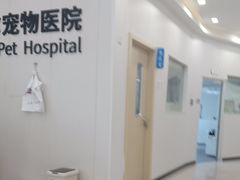 -艾贝尔宠物医院 ·中兽医·宠保定点(北门桥店)