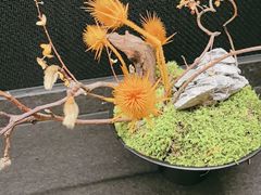 -炊江南·上海菜(国展华漕店)
